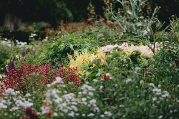 Lexon Building Services | Bedroom Fitter | Decking Installation | Kitchen Fitter | Painting and Decorating